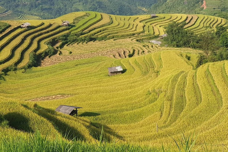 3-dniowy trekking Sapa z lokalnym przewodnikiem, zakwaterowaniem u rodziny i posiłkami