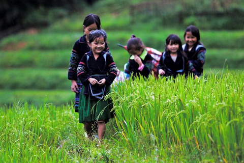 Senderismo de 3 días por Sapa con guía local, alojamiento en familia y comidas