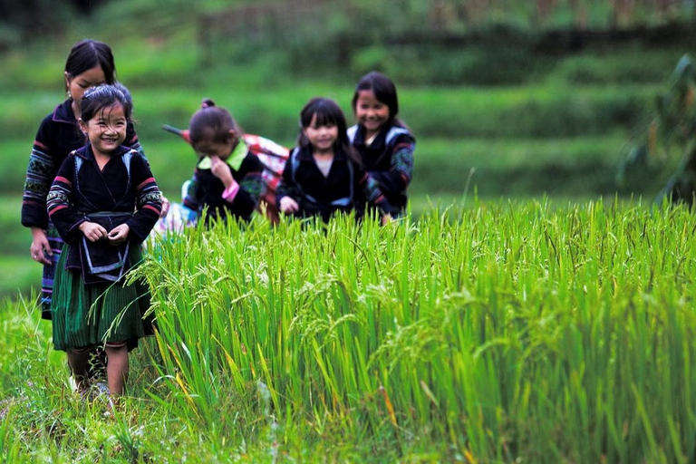 Trekking de 3 jours à Sapa avec guide local, hébergement et repas