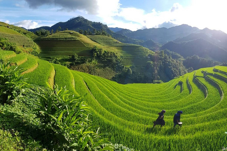 3-dniowy trekking Sapa z lokalnym przewodnikiem, zakwaterowaniem u rodziny i posiłkami