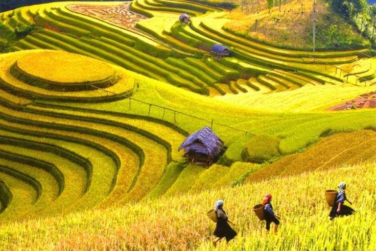 3-dniowy trekking Sapa z lokalnym przewodnikiem, zakwaterowaniem u rodziny i posiłkami