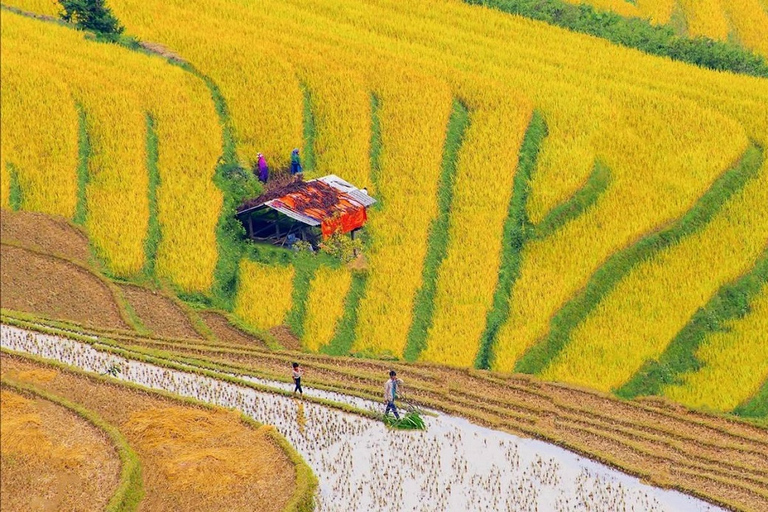 Senderismo de 3 días por Sapa con guía local, alojamiento en familia y comidas