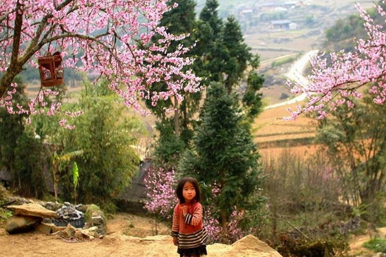 Trekking de 3 jours à Sapa avec guide local, hébergement et repas