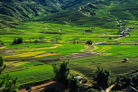 3-dniowy trekking Sapa z lokalnym przewodnikiem, zakwaterowaniem u rodziny i posiłkami