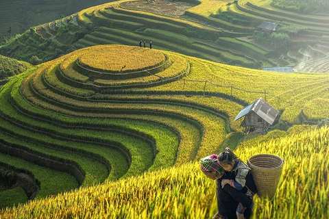 Trekking de 3 jours à Sapa avec guide local, hébergement et repas