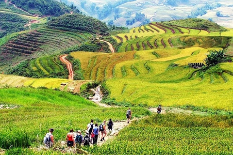 Senderismo de 3 días por Sapa con guía local, alojamiento en familia y comidas