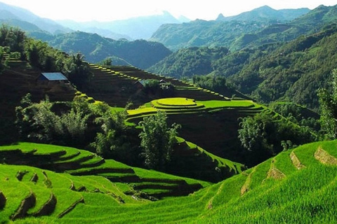 Trekking de 3 jours à Sapa avec guide local, hébergement et repas