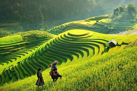 Trekking de 3 jours à Sapa avec guide local, hébergement et repas