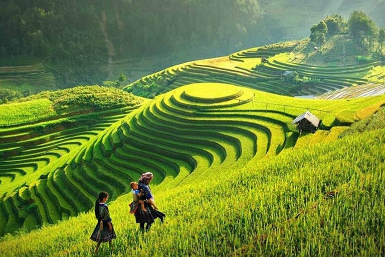 Trekking de 3 jours à Sapa avec guide local, hébergement et repas