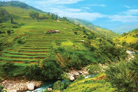 3-dniowy trekking Sapa z lokalnym przewodnikiem, zakwaterowaniem u rodziny i posiłkami