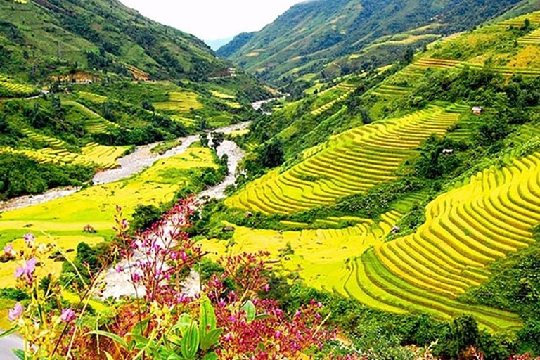 Trekking de 3 jours à Sapa avec guide local, hébergement et repas