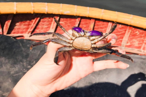 Hoi An: fietstocht van 5 uur op het platteland