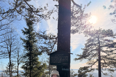 Oslo’s Most Beautiful Fjord Views - light hike version