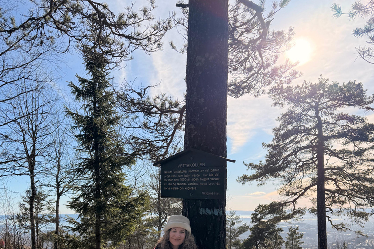 Oslo’s Most Beautiful Fjord Views - light hike version