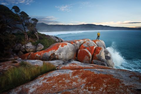From Launceston: 4-Day Bay of Fires Beach Walking Trip