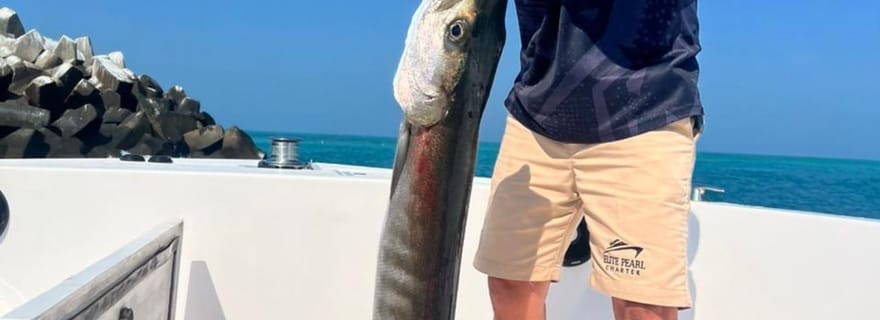Dubaï : Croisière de pêche en haute mer de 4 heures