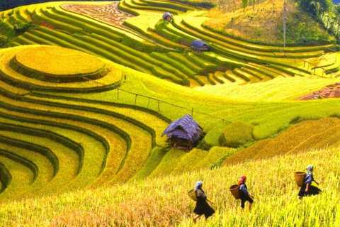 2 jours de trekking à Sapa Village - Bungalow avec transfert