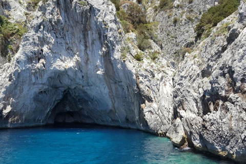 Desde Sorrento: tour en barco por Ischia y ProcidaSalida de Sorrento