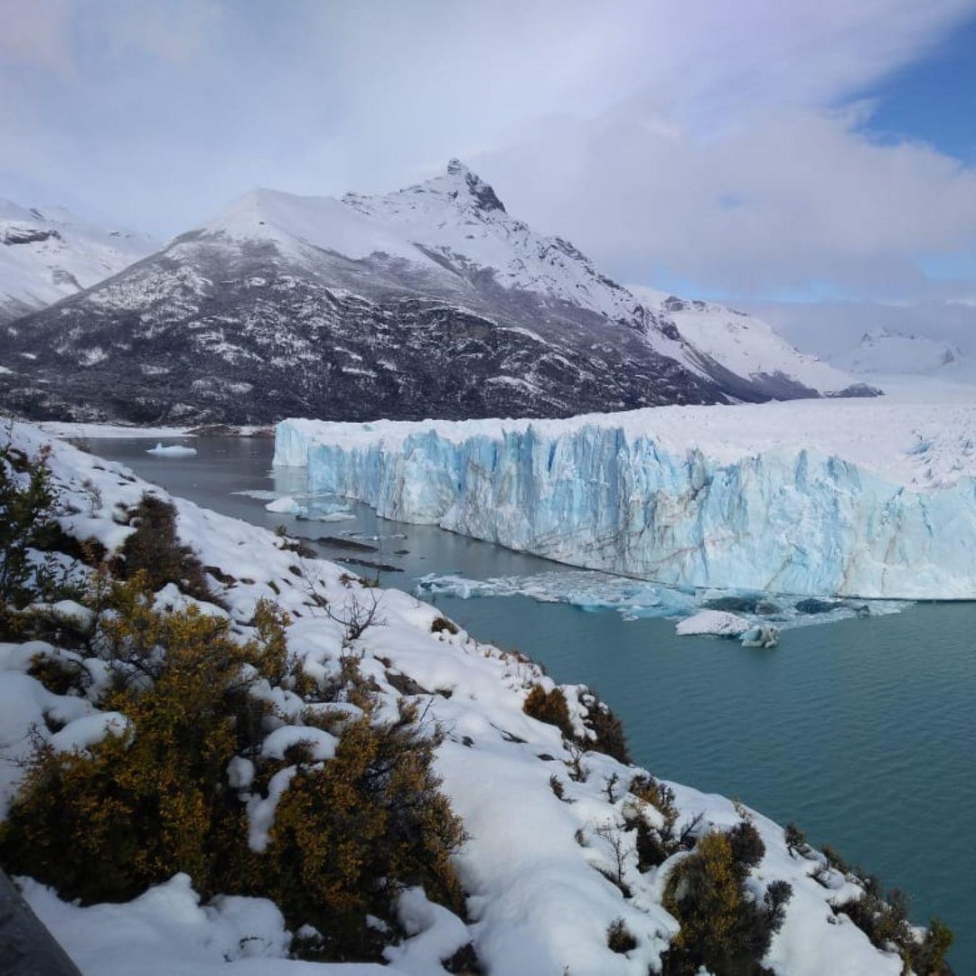 Galería de fotos para redes