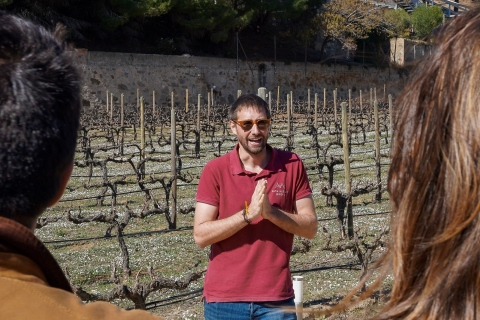 Vanuit Barcelona: catamarantour & wijnmakerijbezoek met proeverijen