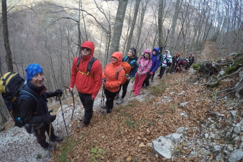 Desde Sarajevo: Excursión de medio día a las Cascadas de SkakavacSenderismo a las cascadas de Skakavac