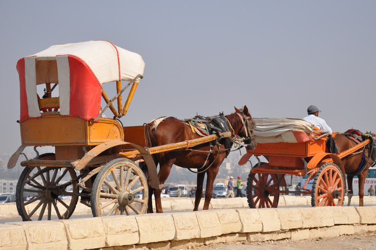 El Cairo: tour de medio día por las pirámides en camello o carruaje de caballosTour privado en carruaje sin tarifas de entrada