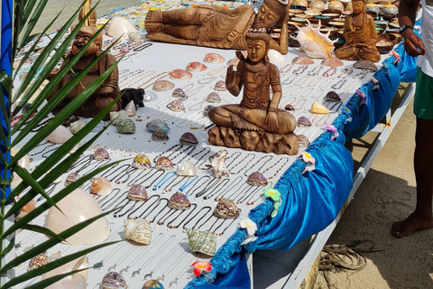 Tamarin: pływanie i nurkowanie z delfinami, lunch na wyspie BenitiersWspólna wycieczka