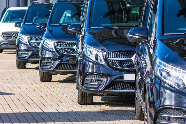 Bruxelas: Traslado Particular do Aeroporto para a CidadeBruxelas: transporte privado do aeroporto para a cidade