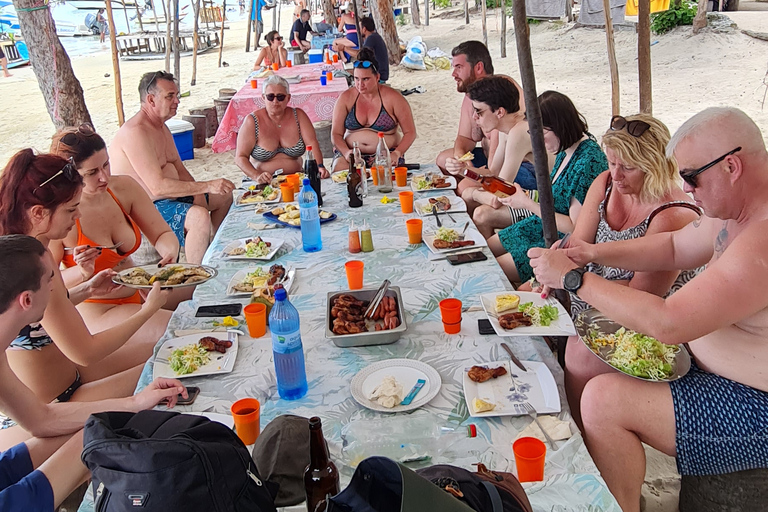 Tamarin: pływanie i nurkowanie z delfinami, lunch na wyspie BenitiersWspólna wycieczka