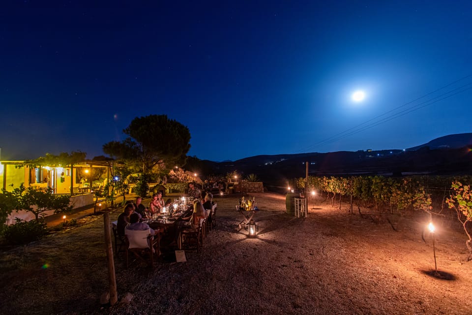 Naxos Cena De Luna Llena Y Cata De Vinos En Un Vi Edo Getyourguide