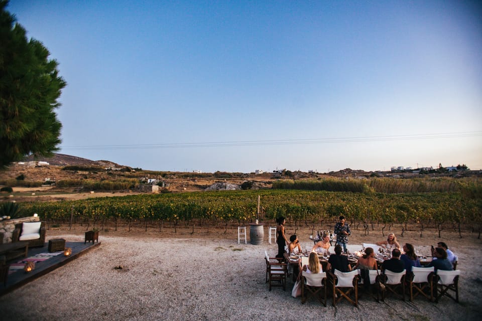 Naxos Cena de Luna Llena y Cata de Vinos en un Viñedo GetYourGuide