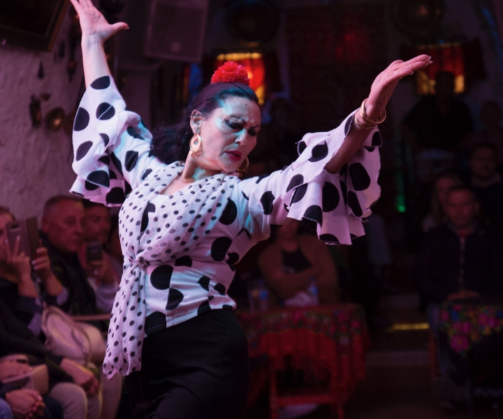 Sacromonte: Show de Flamenco na Cuevas Los Tarantos