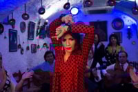 弗拉门戈秀（Flamenco Show - Housity