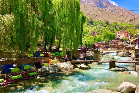 From Marrakech: Ourika Valley and Atlas Mountains Day Tour