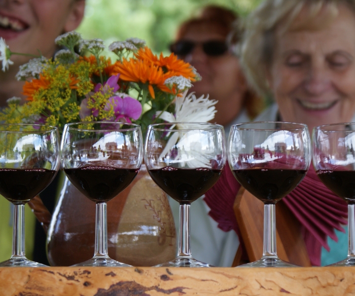 Zemite: Visita guiada a los viñedos con cata de vinos y aperitivos