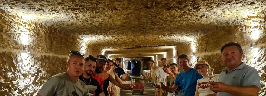 Amboise : visite privée à vélo électrique avec billet pour le Clos Lucé