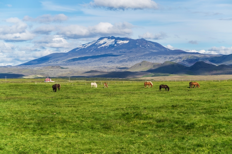 Z Reykjaviku: Całodniowa wycieczka po południowym wybrzeżuWycieczka bez transportu