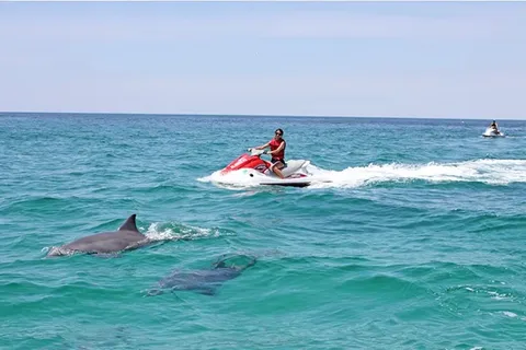 Cape Coral och Fort Myers: Wild Life Jet Ski Tour