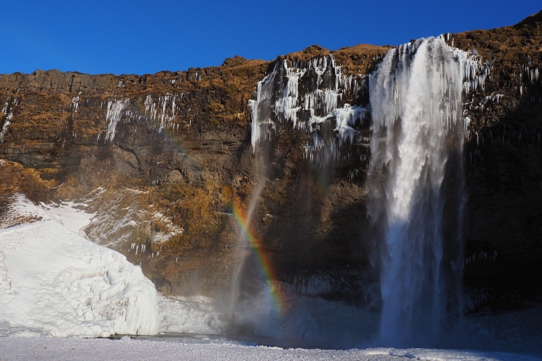Islandia: tour por la costa sur y aurora borealTour con servicio de recogida en el hotel
