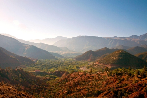 Agadir or Taghazout: Paradise Valley & Atlas Mountain Trip Paradise Valley Trip With Lunch