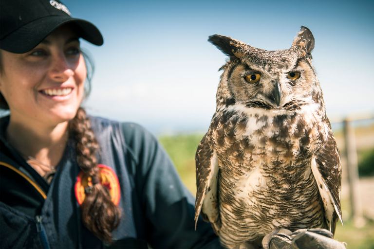 Vancouver : billet d'accès au mont Grouse