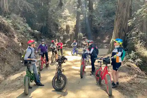Big Sur's Old Coast Road E-Bike Tour