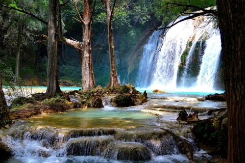 Natural Charms: Montebello Lakes & Chiflón Waterfalls Pickup in San Cristobal de las Casas