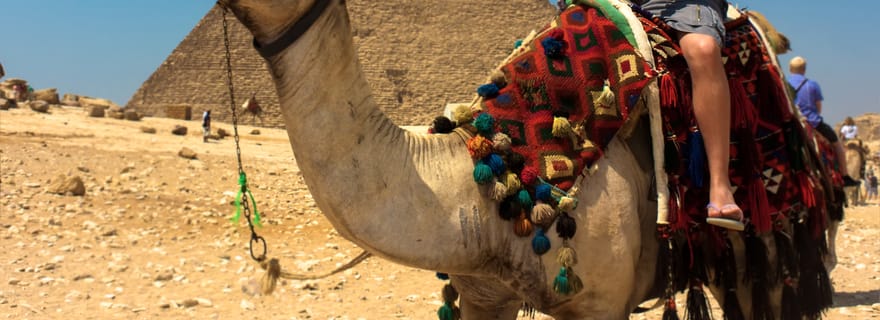 Au départ d'Eilat : Visite privée d'une journée au Caire