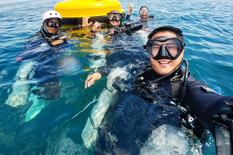 Pattaya: Discover Scuba Diving Experience with Instructor