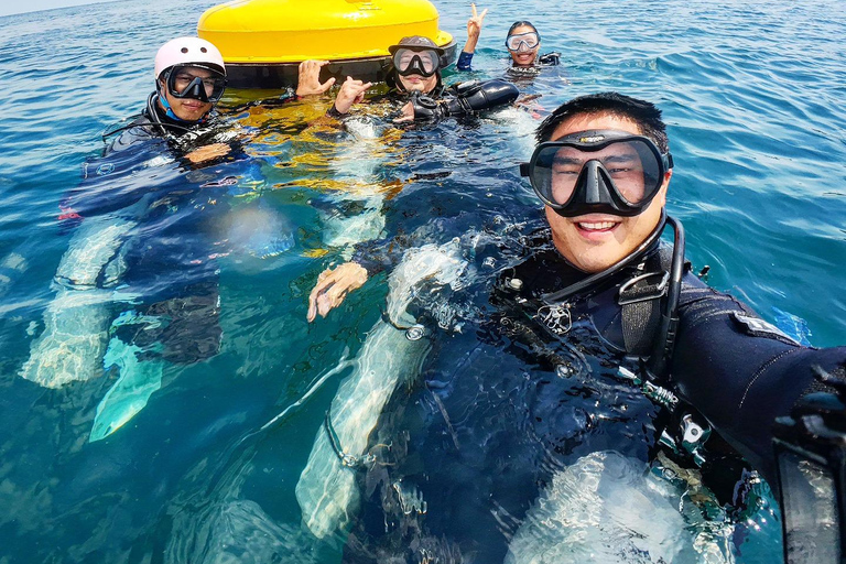 Pattaya: Discover Scuba Diving Experience with Instructor