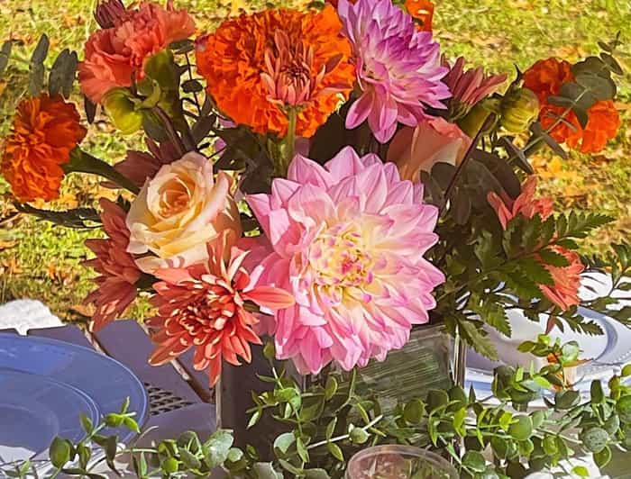 Manhattan Central Park Luxury Picnic with Optional Catering GetYourGuide