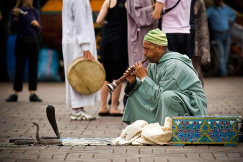 Au départ d'Agadir : Visite guidée de Marrakech, la ville rouge