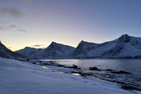 From Tromsø: Discover Senja Island with Local Guide From Tromsø: Privately Discover Senja with Local Guide