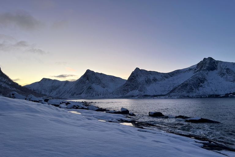 From Tromsø: Discover Senja Island with Local Guide From Tromsø: Privately Discover Senja with Local Guide
